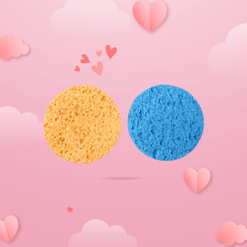 Lot de 2 Eponges nettoyante