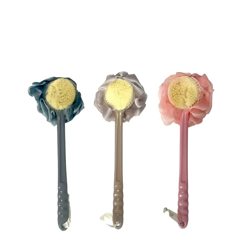 Fleur et brosse de douche à manche long  