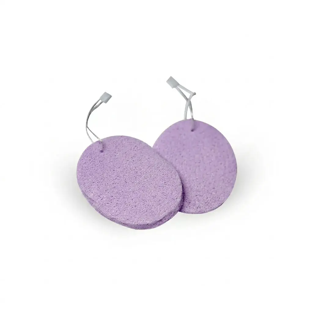 Éponge nettoyante 2PCS 